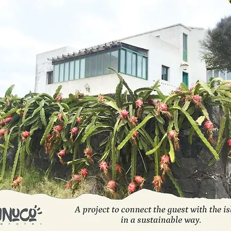 Inuco Experience *